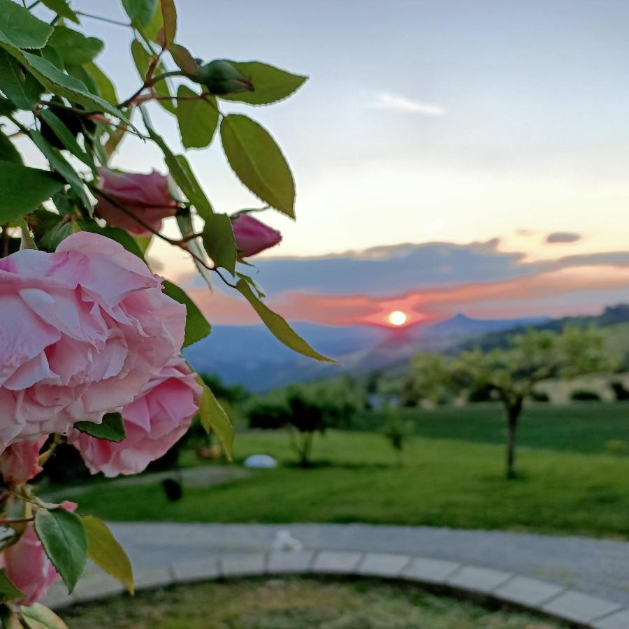 Agriturismo La Casetta - Ospitalita Rurale Familiare Montese Екстер'єр фото