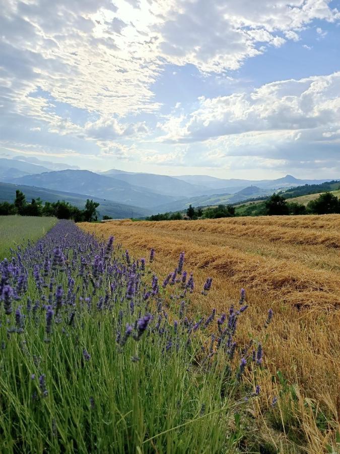 Agriturismo La Casetta - Ospitalita Rurale Familiare Montese Екстер'єр фото